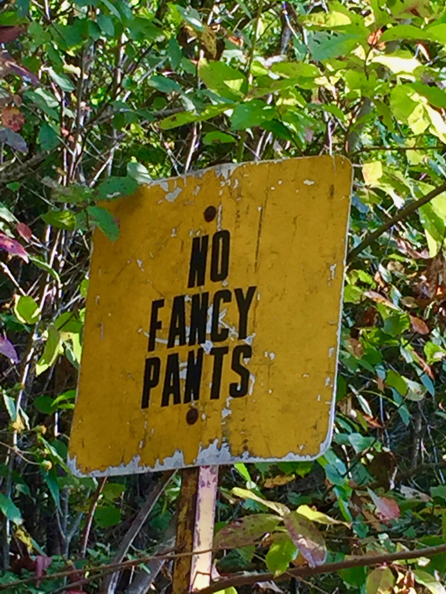 no fancy pants sign